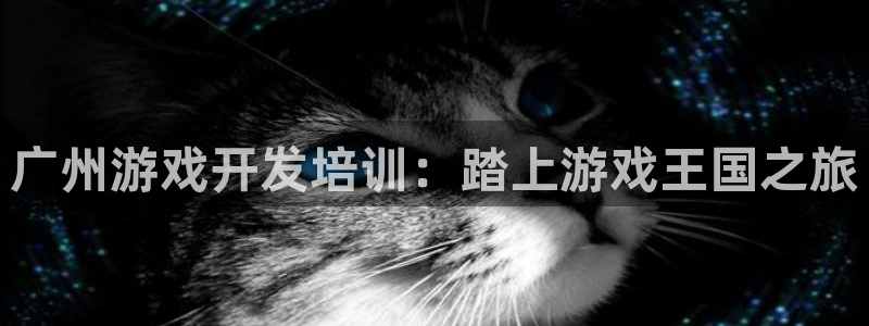 沐鸣官网注册：广州游戏开发培训：踏上游戏