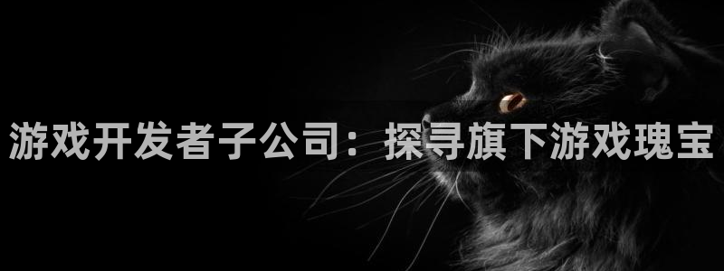沐鸣官方注册登录：游戏开发者子公司：探寻