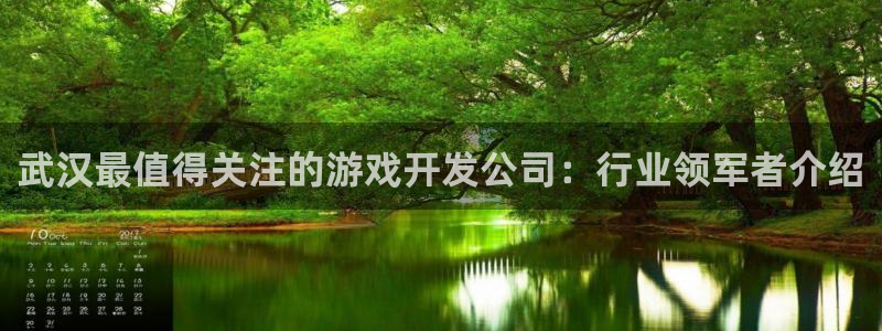 沐鸣咨询：武汉最值得关注的游戏开发公司：