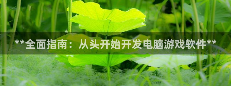 沐鸣科技游戏怎么样：**全面指南：从头开