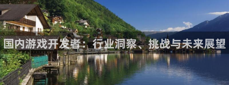 沐鸣娱乐怎么注册：国内游戏开发者：行业洞