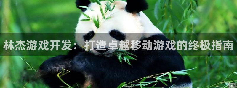 沐鸣娱乐-官方网站：林杰游戏开发：打造卓