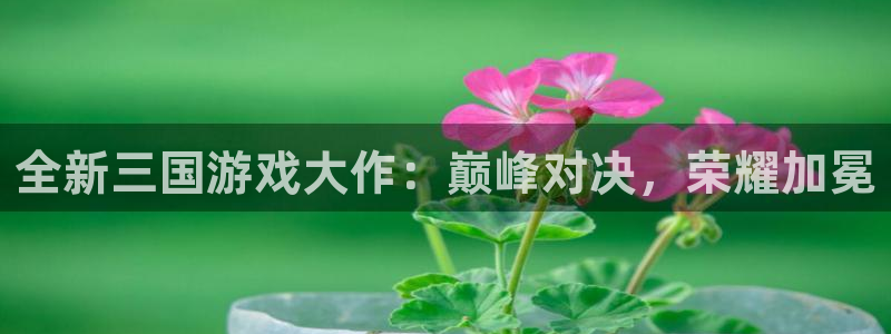 沐鸣科技有哪些产品卖：全新三国游戏大作：
