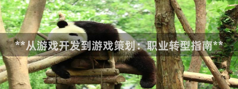 沐鸣注册登陆：**从游戏开发到游戏策划：