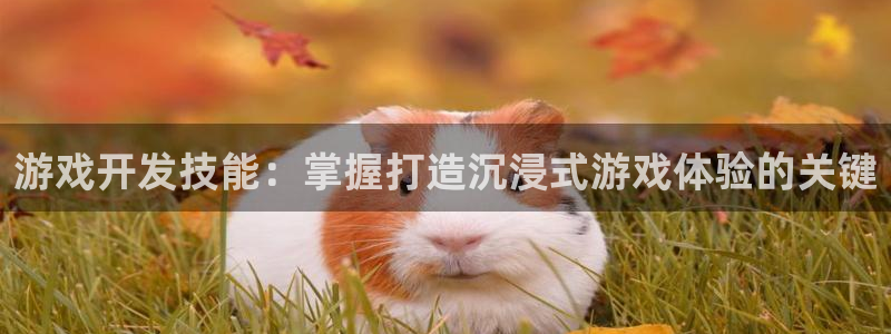 沐鸣平台总代：游戏开发技能：掌握打造沉浸