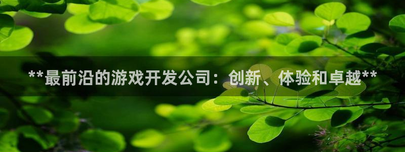 沐鸣娱乐测速：**最前沿的游戏开发公司：