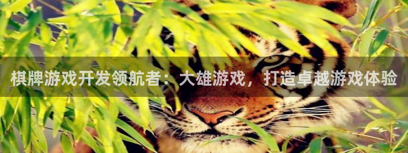 沐鸣注册地址：棋牌游戏开发领航者：大雄游