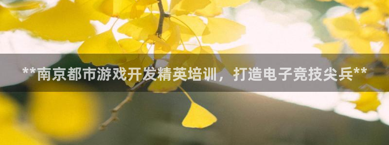 沐鸣娱乐1登录：**南京都市游戏开发精英