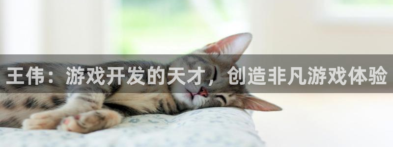 沐鸣平台官方网站：王伟：游戏开发的天才，