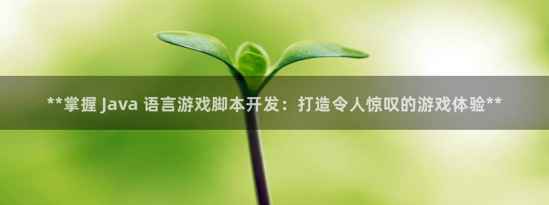 沐鸣科技做的游戏：**掌握 Java 语