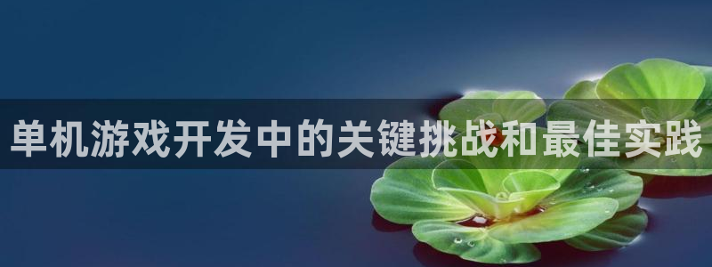 沐鸣娱乐平台怎么样啊：单机游戏开发中的关