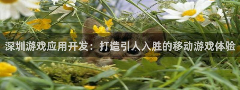 沐鸣娱乐官方网站入口：深圳游戏应用开发：