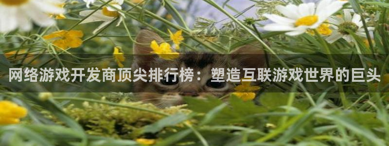 沐鸣平台招商怎么样：网络游戏开发商顶尖排