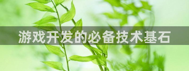 沐鸣平台总代：游戏开发的必备技术基石