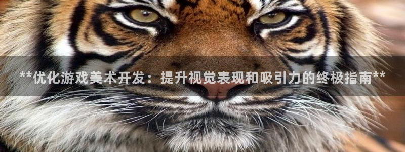 沐鸣科技怎么样：**优化游戏美术开发：提