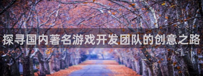 沐鸣平台负责人：探寻国内著名游戏开发团队