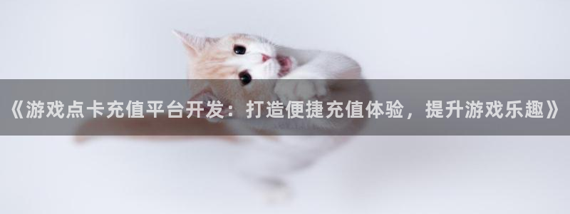 沐鸣登录地址：《游戏点卡充值平台开发：打