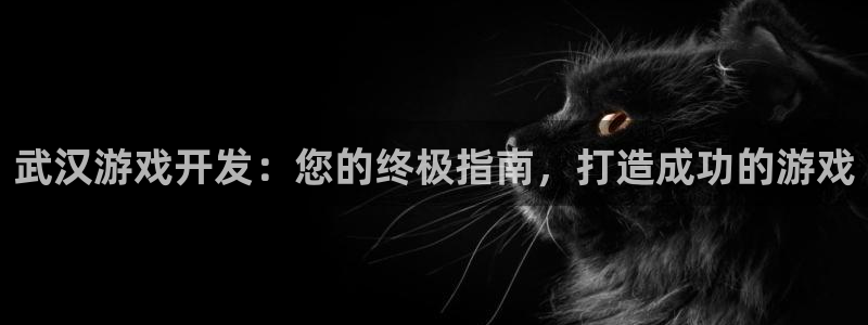 沐鸣1平台登录线路：武汉游戏开发：您的终