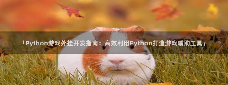 沐鸣平台代理：「Python游戏外挂开发