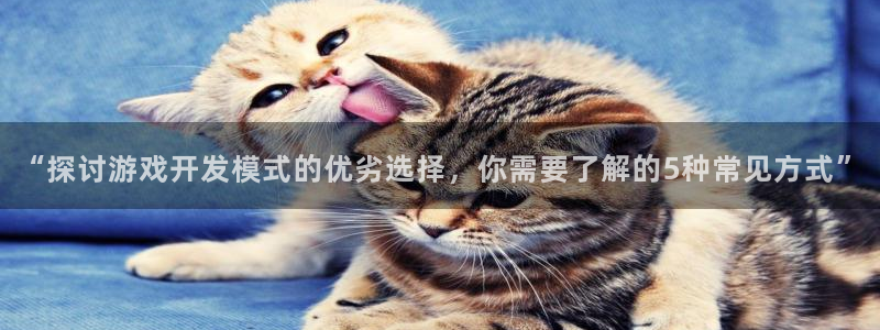 沐鸣注册账号：“探讨游戏开发模式的优劣选