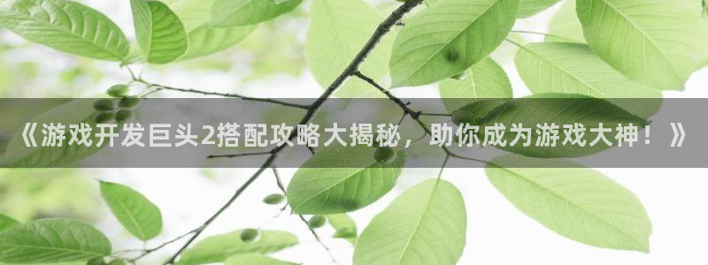 沐鸣登陆测速：《游戏开发巨头2搭配攻略大