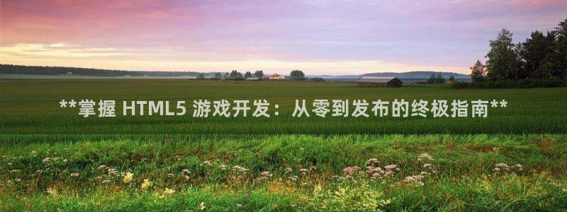 沐鸣咨询：**掌握 HTML5 游戏开发