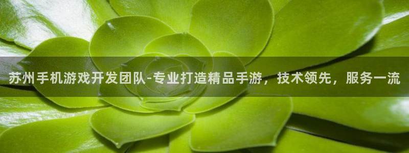 沐鸣app：苏州手机游戏开发团队-专业打