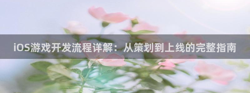 沐鸣娱乐注册登录平台：iOS游戏开发流程