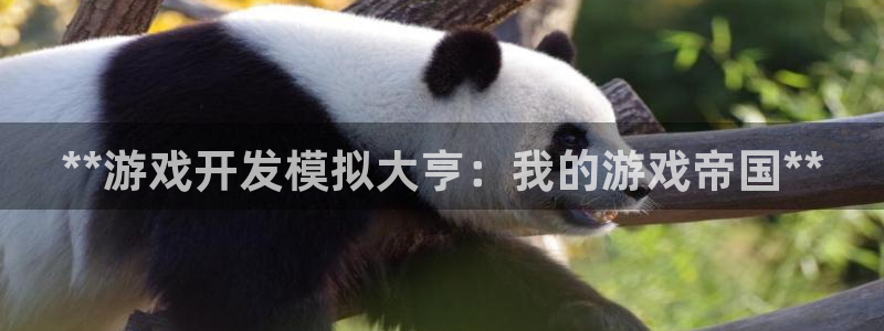 沐鸣咨询：**游戏开发模拟大亨：我的游戏
