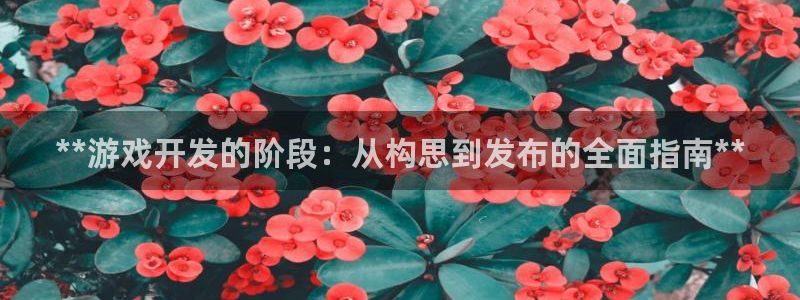 沐鸣注册登陆：**游戏开发的阶段：从构思