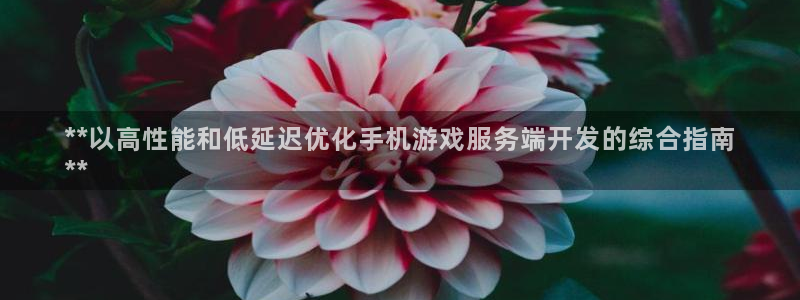 沐鸣平台矩58847：**以高性能和低延