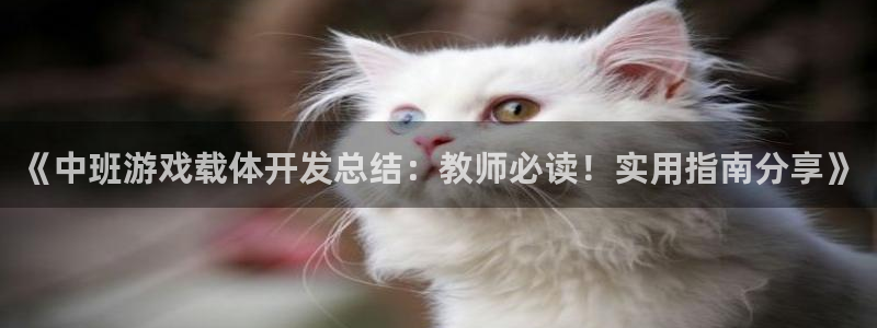 沐鸣总代~53866：《中班游戏载体开发