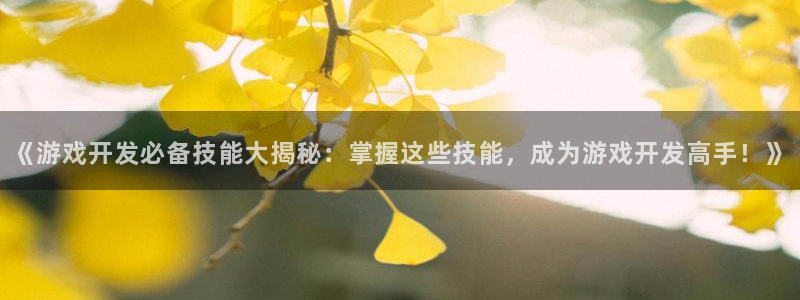 沐鸣娱乐：《游戏开发必备技能大揭秘：掌握