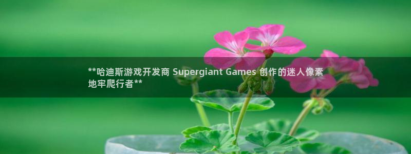 沐鸣注册账号：**哈迪斯游戏开发商 Su