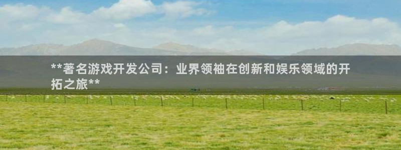 沐鸣游戏~53866：**著名游戏开发公