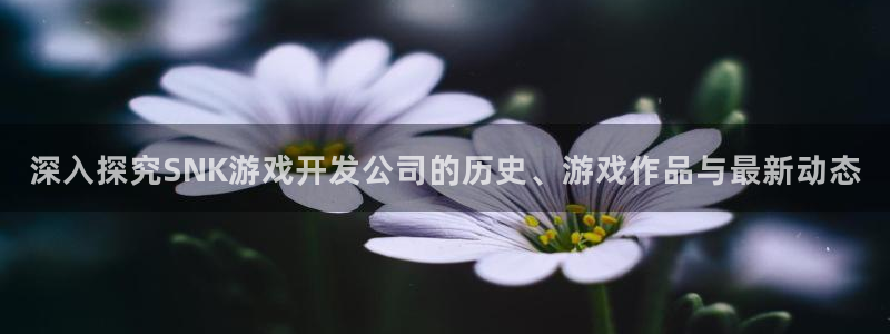 沐鸣娱乐官网首页：深入探究SNK游戏开发