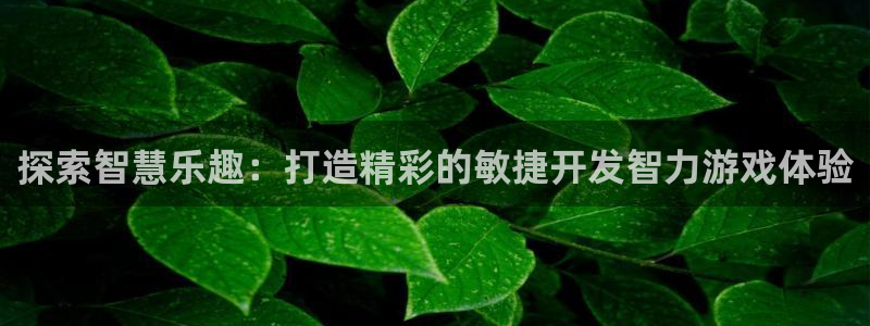 沐鸣登录网址：探索智慧乐趣：打造精彩的敏