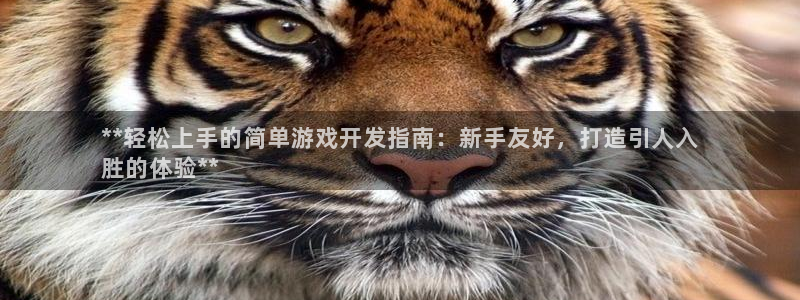 沐鸣3注册：**轻松上手的简单游戏开发指
