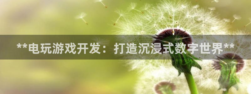 沐鸣娱乐平台登录入口：**电玩游戏开发：