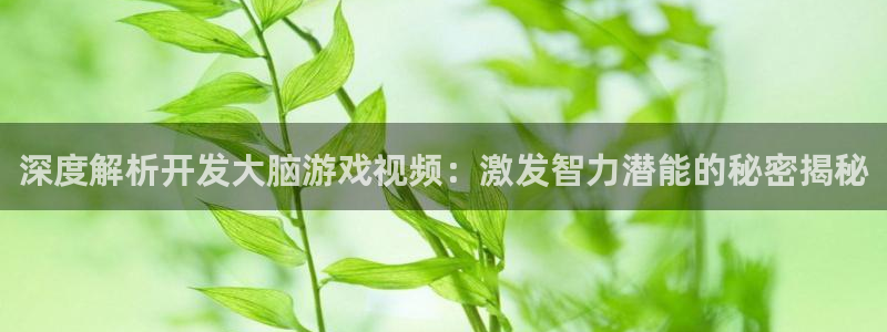 沐鸣娱乐平台怎么样知乎：深度解析开发大脑