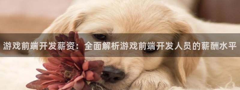 沐鸣娱乐1登录：游戏前端开发薪资：全面解