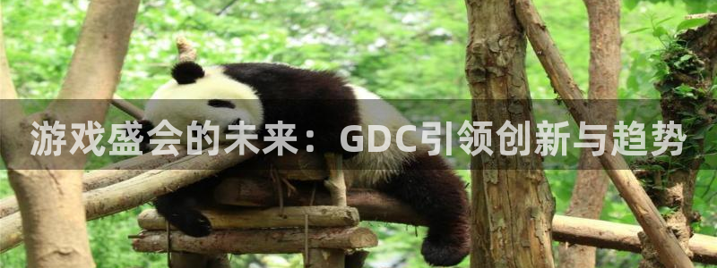 沐鸣娱乐账号怎么注册的：游戏盛会的未来：