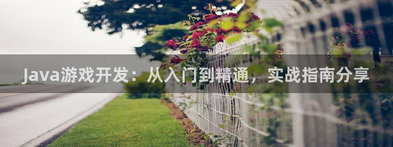 沐鸣娱乐注册登录平台入口：Java游戏开
