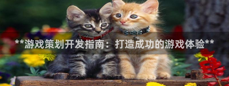 沐鸣娱乐平台登录网址：**游戏策划开发指