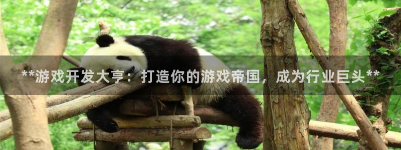 沐鸣平台招商怎么样：**游戏开发大亨：打