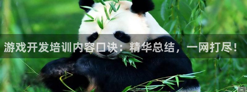 沐鸣注册问一问：游戏开发培训内容口诀：精华总结，一