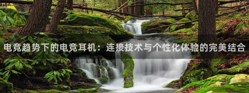 完美电竞官网盛大升级