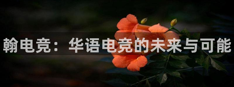 完美电竞平台下载