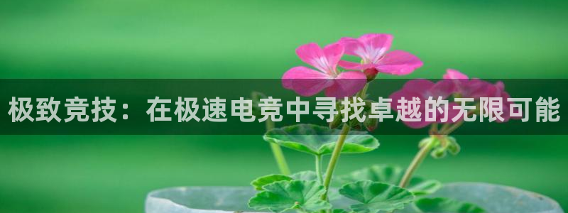 csgo完美电竞平台