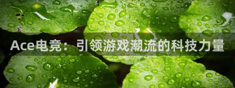 完美电竞竞技平台